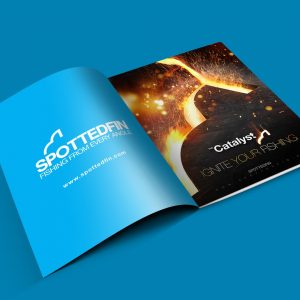 SF-Catalyst-Advert-2-Large